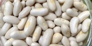 White Kidney Beans