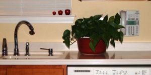 Solid Surface Kitchen Countertops