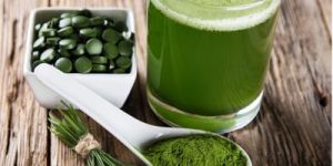 Spirulina Feed Supplement