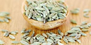 Fennel Seeds