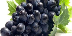 Fresh Black Grapes