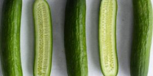 Fresh Cucumber