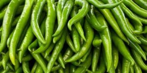Fresh Green Chilli