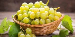 Fresh Green Grapes