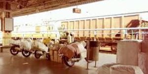 Railway Parcel Packing Service