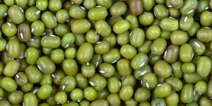 Green Grams