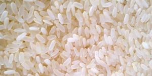 Jaya Rice