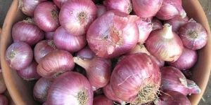 Dehydrated Red Onion