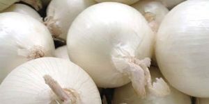 Dehydrated White Onion