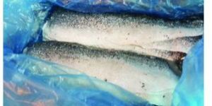 Frozen Salmon