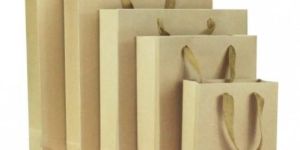 Eco Friendly Brown Paper Bag