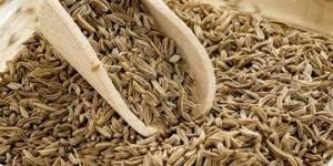Cumin Seed