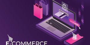Ecommerce Web Development Service in Bangalore