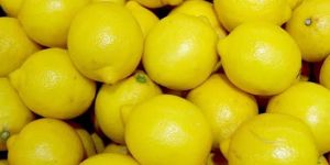 Lemon