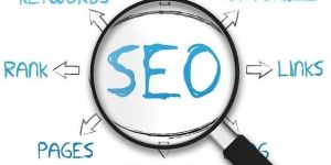 Seo Consultation Service