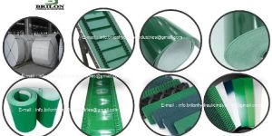 Assembly Line Belt Conveyor