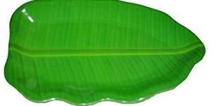 Banana Leaf Plates