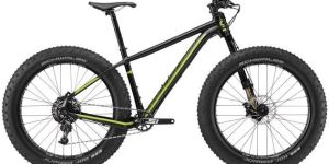 Cannondale Fat CAAD 1 Mountain Bike