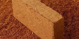Coco Peat Briquette