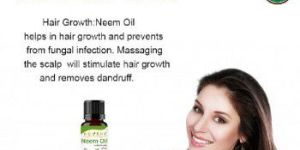Organic Neem Oil