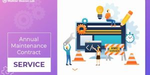 Software Maintenance Service