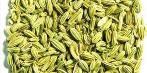 Fennel Seeds