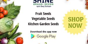 Kitchen Garden Seeds