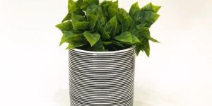 Ceramic Pots