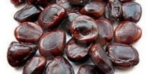 Tamarind Seeds