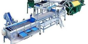 Potato Grading Machine