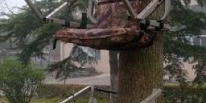 Coconut Tree Climber Device