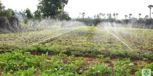 SPRAY IRRIGATION KIT / 40 mm- 1/4 acre