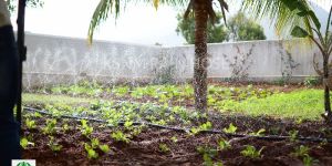 SPRAY IRRIGATION KIT / 40 mm - 500 Sqm