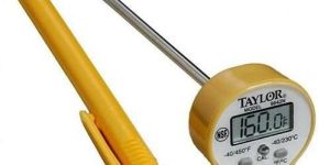 Food Thermometer