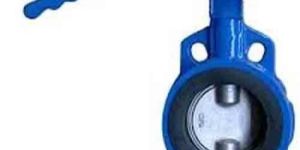 Butterfly Valve