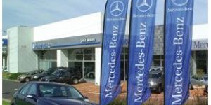 Swooper Feather Flag