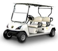 Electric Golf Cart