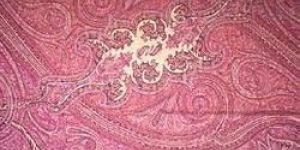 Unisex Pashmina Shawls