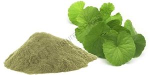 Brahmi Powder