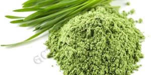 Wheatgrass Powder