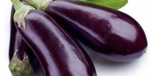 Fresh Brinjal
