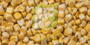 Freeze Dried Sweet Corn
