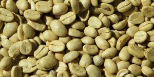 Green Coffee Beans