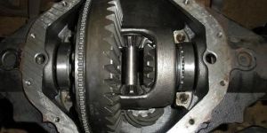 Pinion Bearing