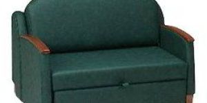 Sleeper Sofa