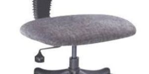 Low Back Arm Less Cyber Chair