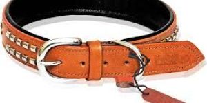 Pet Neck Belts