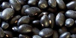 Black Soya Beans