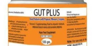 Gut Plus Aqua Feed Probiotic