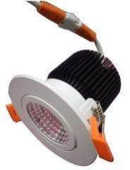 LED Focus Down Light